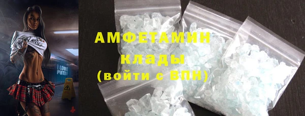 гидра Арсеньев