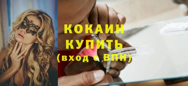 гидра Арсеньев
